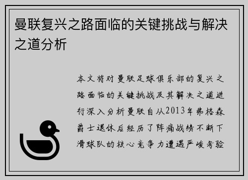 曼联复兴之路面临的关键挑战与解决之道分析
