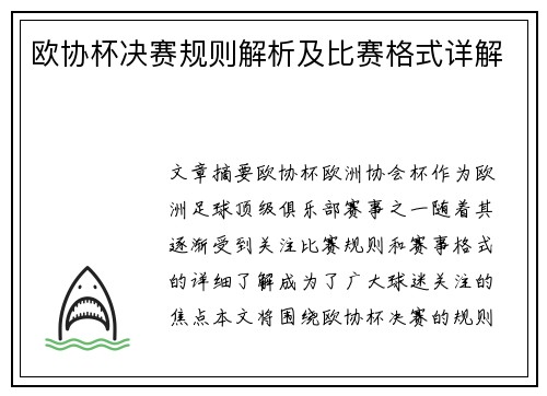 欧协杯决赛规则解析及比赛格式详解